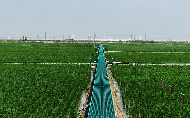 如何解決真空燒結爐真空度下不來的問題